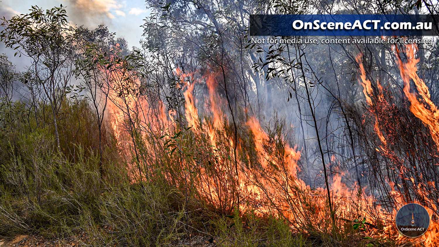 20241124 jerrabomberra escaped burn image 11