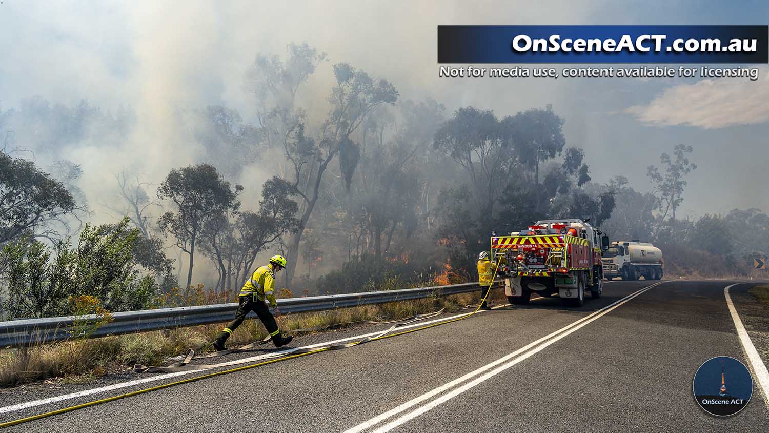 20250105 eagle hawk bushfire image 12