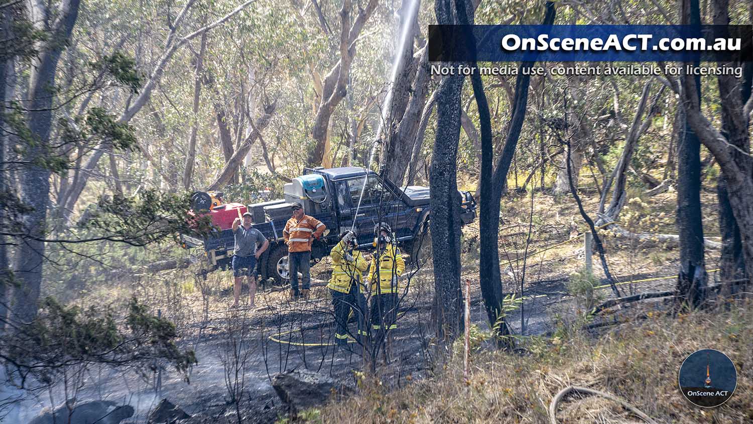 20250105 eagle hawk bushfire image 14