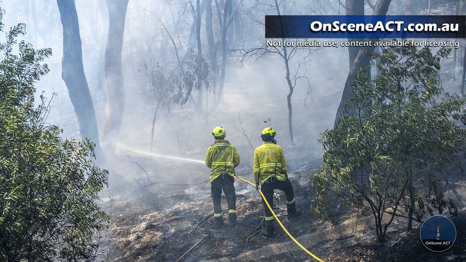 20250105 eagle hawk bushfire image 15