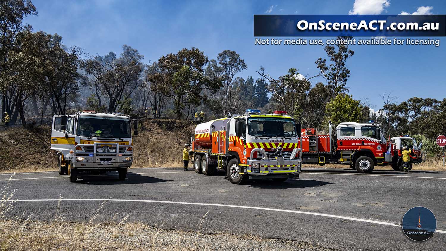 20250105 eagle hawk bushfire image 17