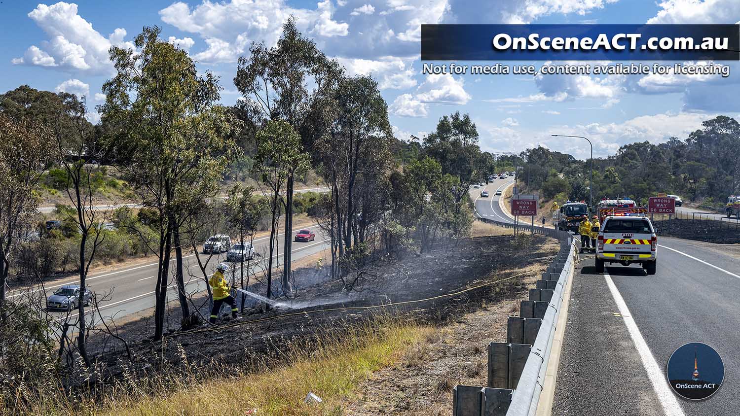 20250105 eagle hawk bushfire image 18