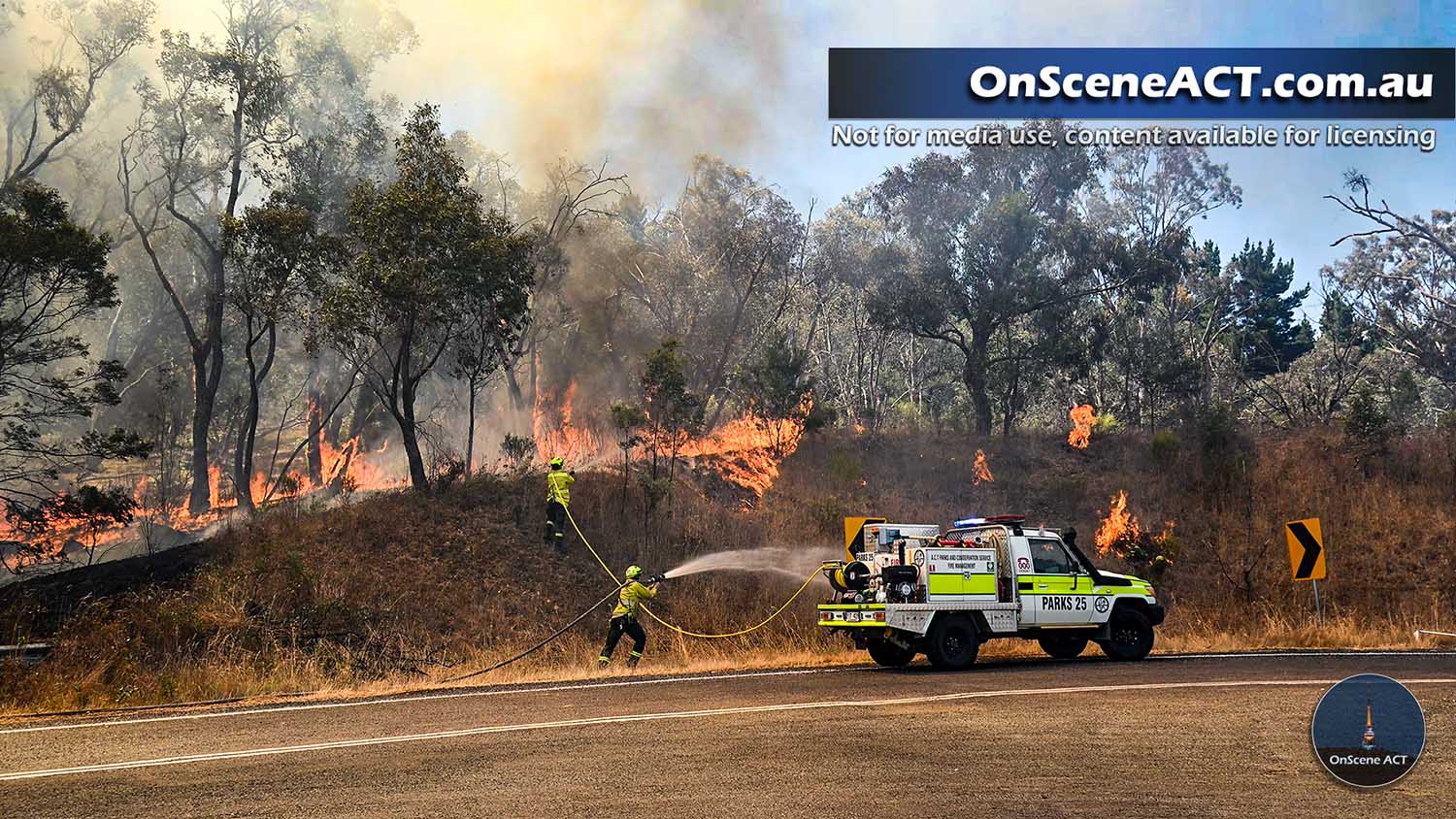 20250105 eagle hawk bushfire image 2