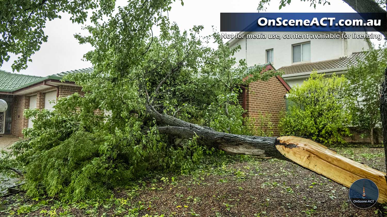 20250115 canberra storms image 11