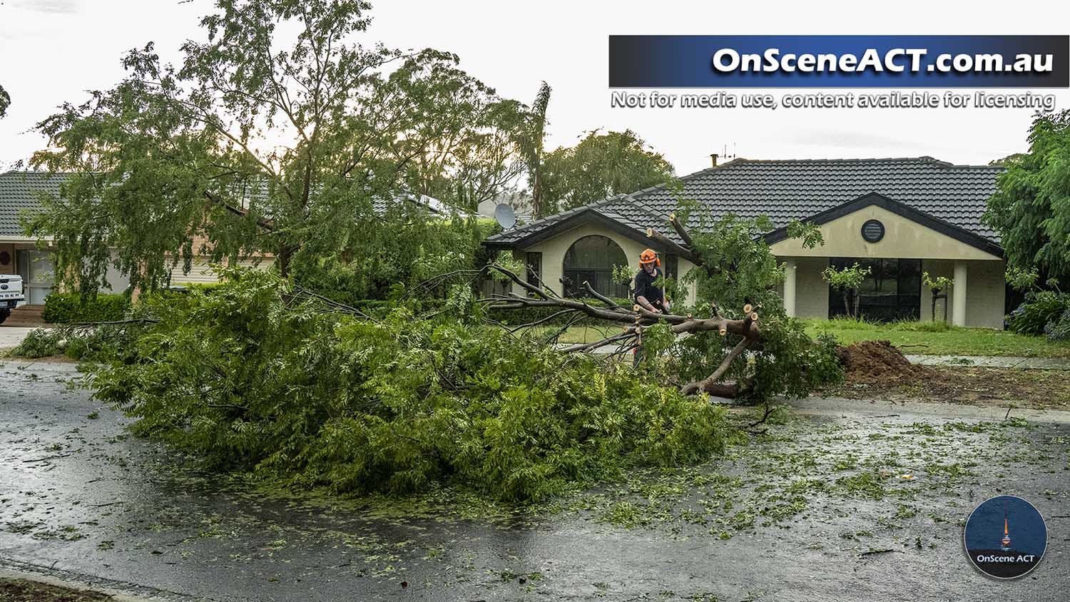 20250115 canberra storms image 8