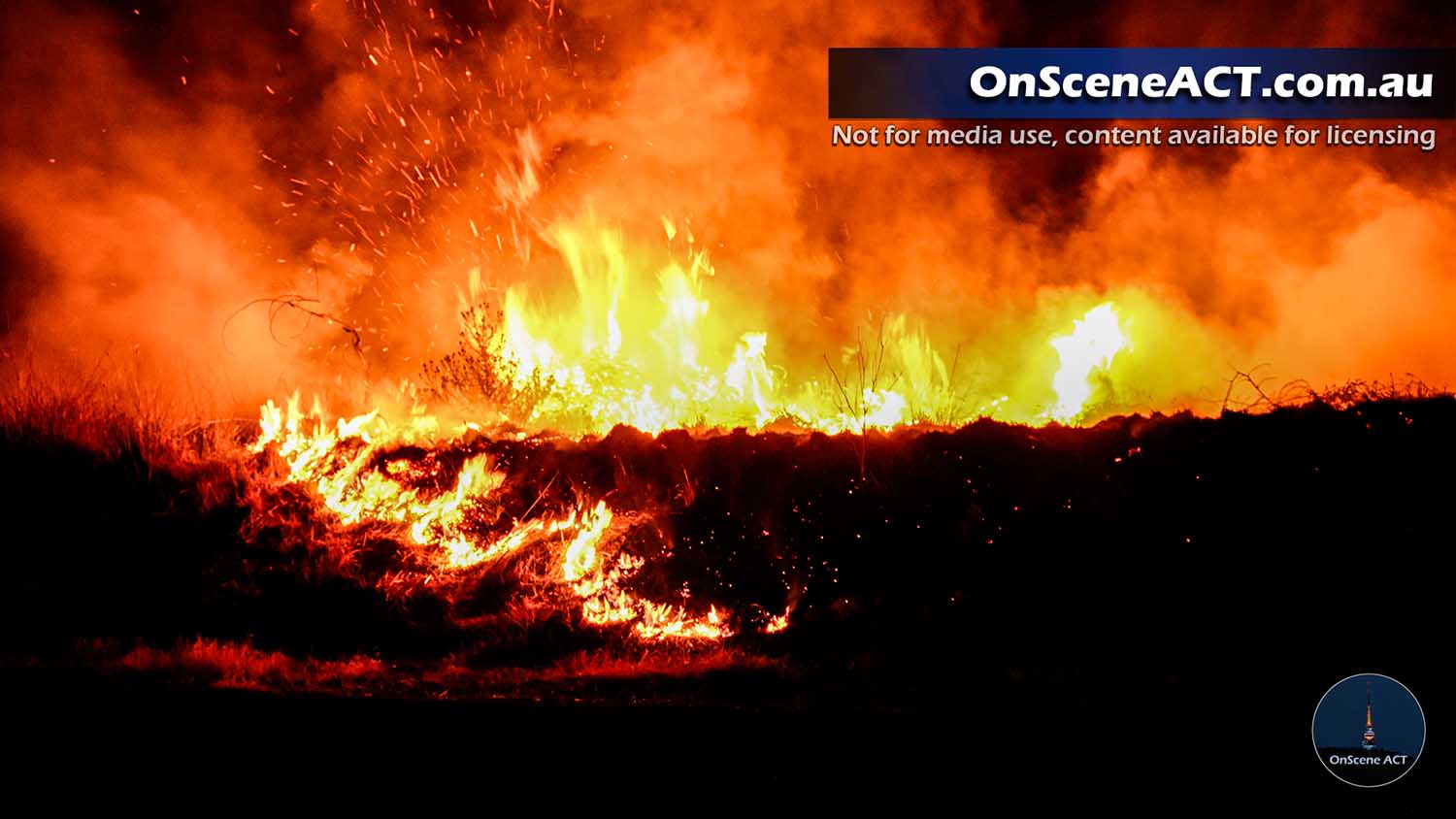 20250129 federal highway fire image 2