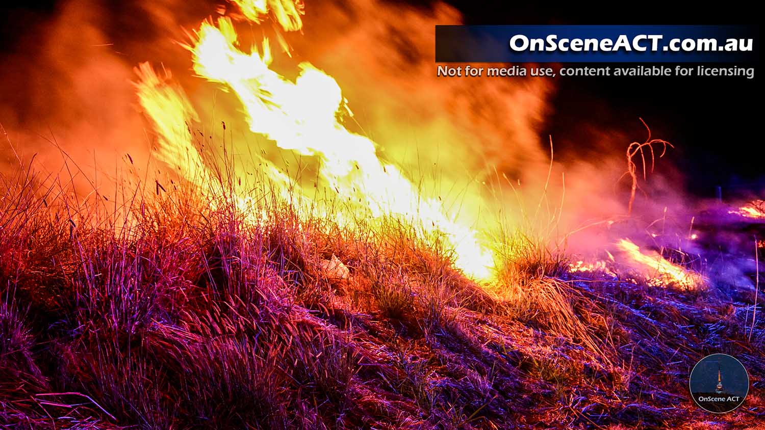 20250129 federal highway fire image 3