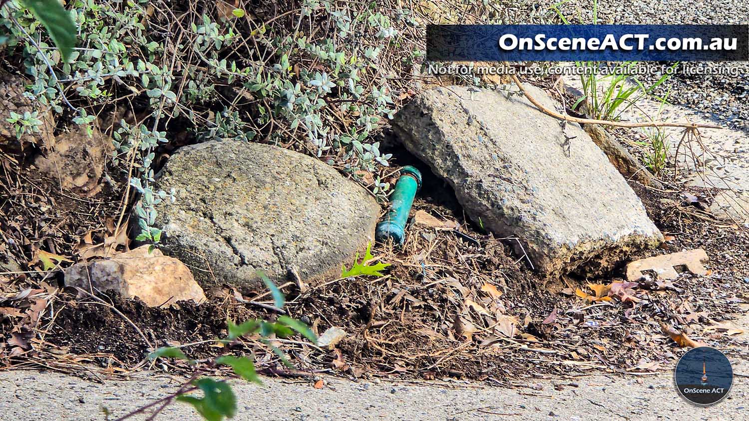 20250212 evatt bomb scare image 18